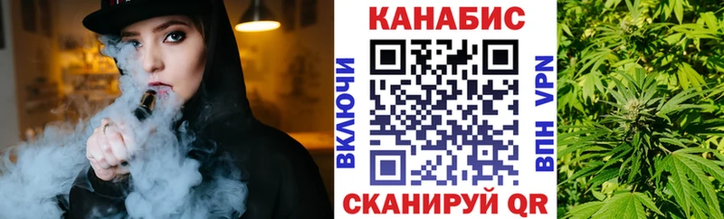 Шишки марихуана планчик  купить наркотик  МЕГА ссылки  Томмот 